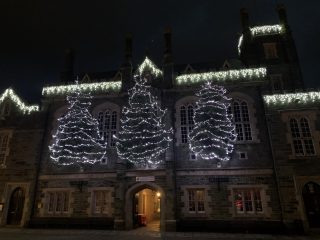 Tree of Lights 2020